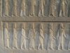 DSC01587.jpg