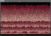 ptex3.png