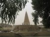 IMG_4018 copy.jpg