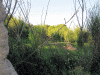 ghazijahan-027.gif