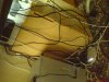DSC02844.JPG