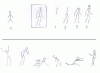 BodyLine.gif