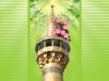 Haram Emam Reza Wallpaper (20).jpg