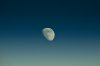 moon (1).jpg