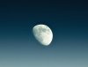 moon (3).jpg