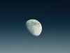 moon (4).jpg