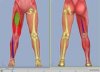 E_Leg_1_j.jpg