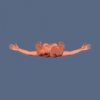 Guide_Bottom.jpg