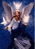 angel-6.jpg