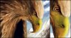 eagle_by_cg-gilas.jpg
