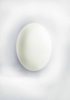egg_1.jpg