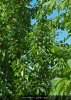 IMG_2011_03_16_2862.jpg