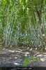 IMG_2011_03_16_2891.jpg