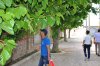 DSC_0689.jpg