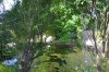 DSC_0702.jpg