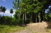DSC_0704.jpg