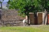 DSC_0729.jpg