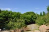 DSC_0734.jpg