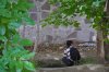 DSC_0738.jpg