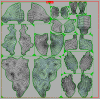 new UV afterotopo - test sym.gif