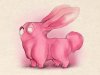 my_pink_rabbit borhani59.jpg