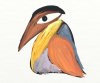 colored_crow     borhani59.jpg
