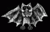 pixel spray 2.gif