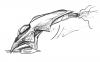 inkscape 54.png
