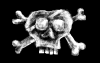pixel spray 5.PNG