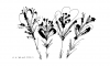 inkscape 59.png