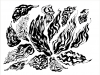 inkscape 61.png
