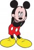 Mickey-70.jpg