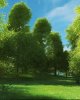 Test0003.jpg