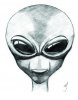 alienFront_head.jpg
