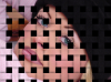 Final.png