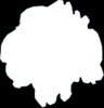 opacity.jpg