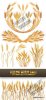 1301293460_stock-vector-yellow-wheat-ears.jpg
