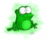 my-frog.jpg