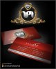 Zomorod_logotype_business_card_by_cg-gilas.jpg