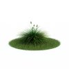 042_Festuca idahoensis.jpg