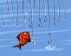 fish.jpg