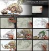 1315843816_creaturedesignterrylwhitlatchvol1.jpg