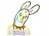C rabbit - borhani59.jpg