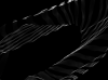 FP - borhani - 02.png