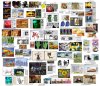 pic 2 paint _ preview 640.jpg