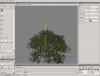 xfrogWireSmallTree.jpg