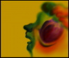 050.png