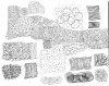 for Gold style test- borhani59.jpg