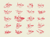 salat preview.png