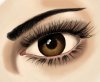 eye.jpg